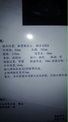 journal_insert_pic_143895033