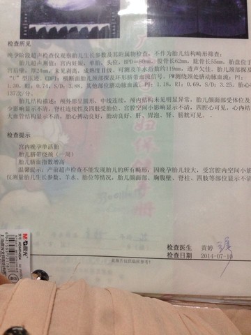 journal_insert_pic_143983765