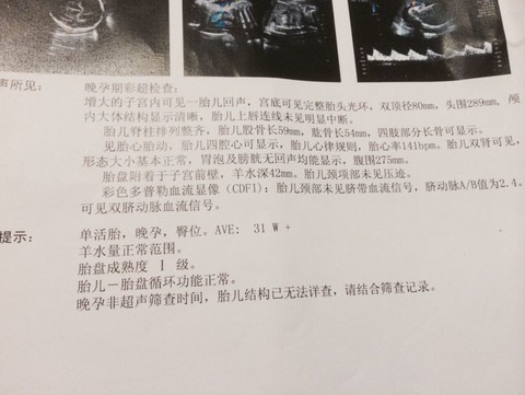 journal_insert_pic_144016019