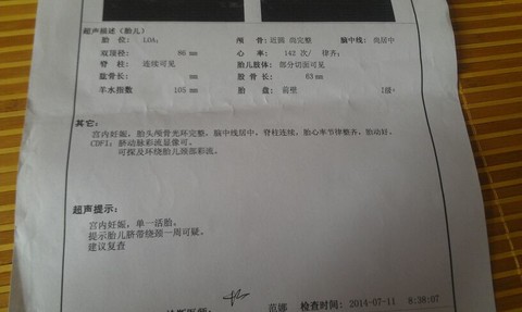 journal_insert_pic_144058284