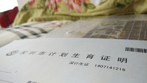 journal_insert_pic_144462148