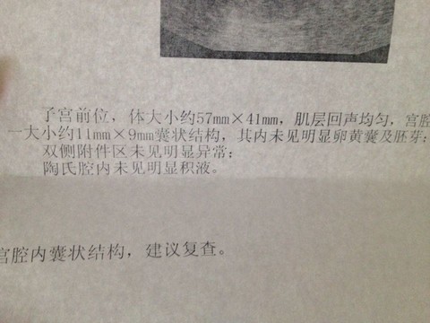 journal_insert_pic_144649591