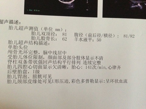 journal_insert_pic_144741354