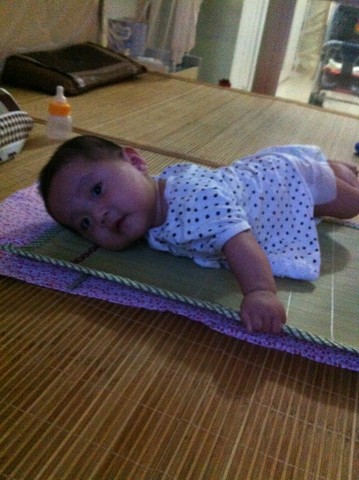 journal_insert_pic_144893394