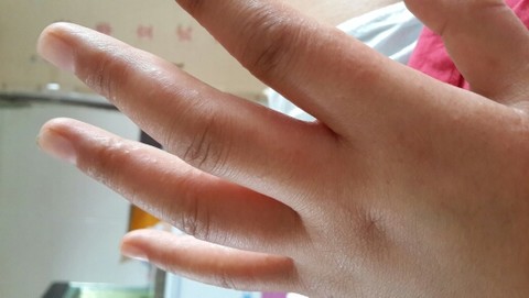 journal_insert_pic_144855355