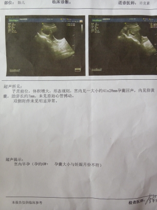 journal_insert_pic_145049474