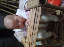 journal_insert_pic_145020644