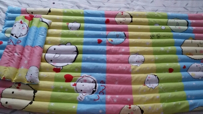 journal_insert_pic_145316512
