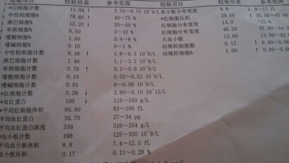 journal_insert_pic_145493323