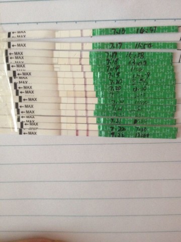 journal_insert_pic_145670941