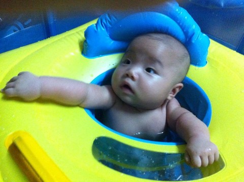 journal_insert_pic_145665972