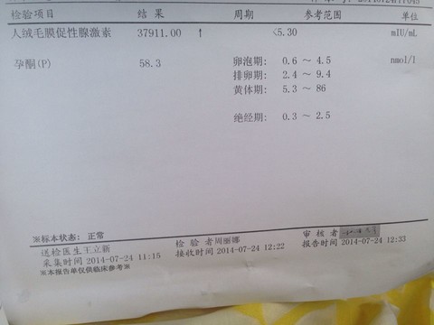 journal_insert_pic_146143174