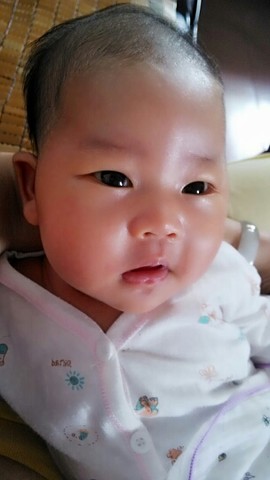 journal_insert_pic_146117742