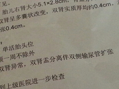 journal_insert_pic_146553691
