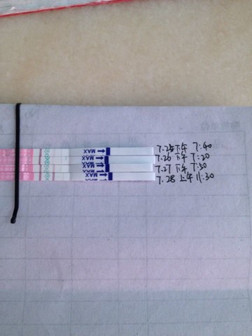journal_insert_pic_146825600
