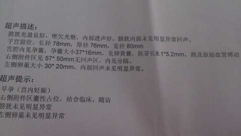 journal_insert_pic_146889858