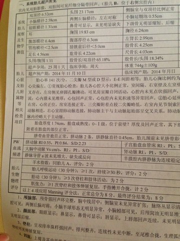 journal_insert_pic_146967423