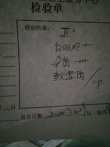 journal_insert_pic_146958478