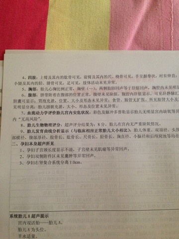 journal_insert_pic_146967415