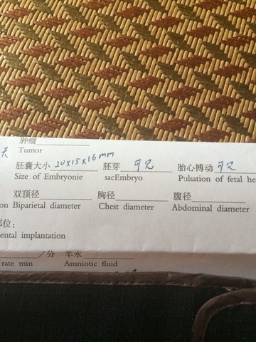 journal_insert_pic_147202981