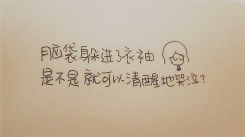 journal_insert_pic_147957278
