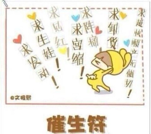 journal_insert_pic_147959312