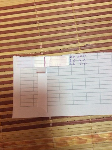 journal_insert_pic_148028727