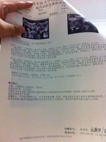 journal_insert_pic_148219983