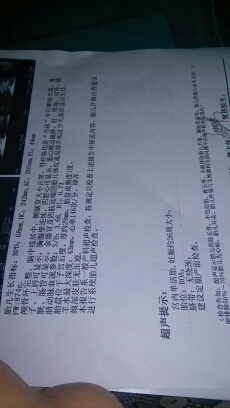 journal_insert_pic_148578314