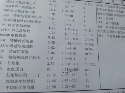 journal_insert_pic_150163269