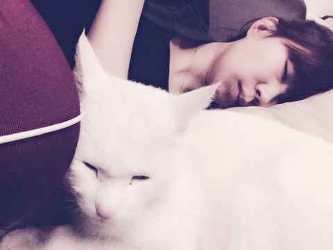 journal_insert_pic_150310118