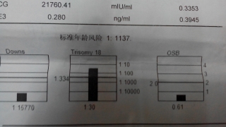 journal_insert_pic_150462530