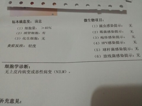 journal_insert_pic_150461201
