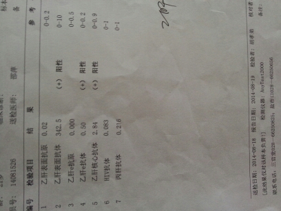 journal_insert_pic_150716343