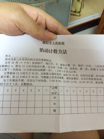 journal_insert_pic_150921128