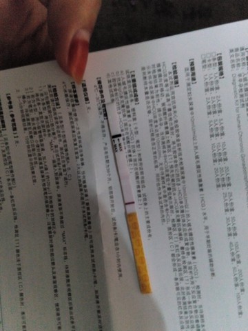 journal_insert_pic_150992733