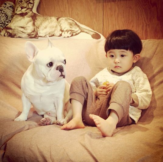 斗牛犬和两个宝宝的幸福生活(多图)萌死个人