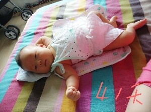 journal_insert_pic_151775495