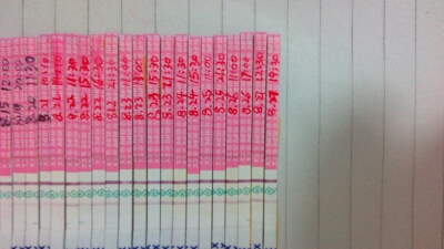 journal_insert_pic_151760667