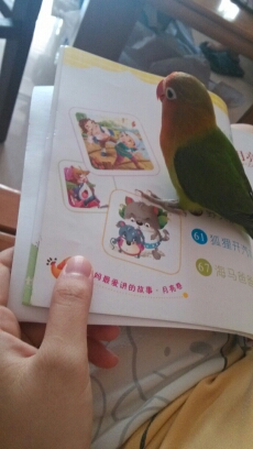 journal_insert_pic_151706567