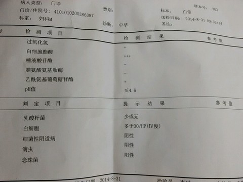 journal_insert_pic_152580223