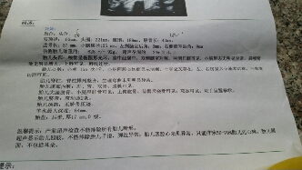 journal_insert_pic_152881070