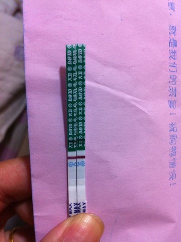 journal_insert_pic_153969843