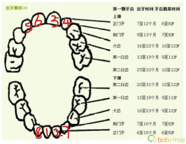 journal_insert_pic_154151843