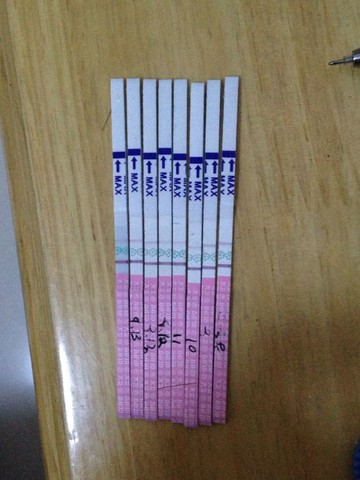 journal_insert_pic_154338557