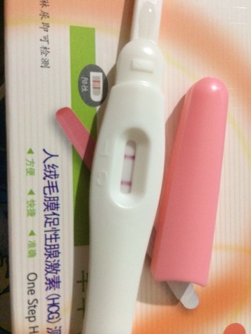 journal_insert_pic_154645261