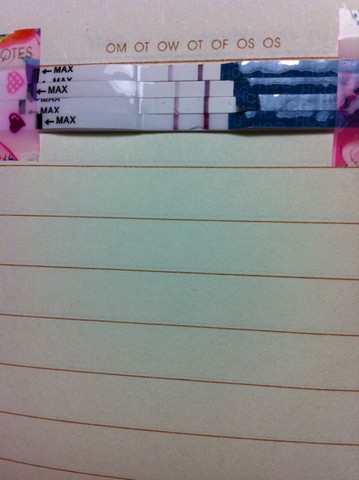 journal_insert_pic_155001039