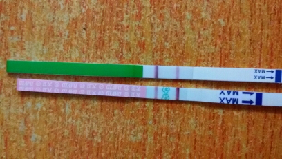 journal_insert_pic_155279315