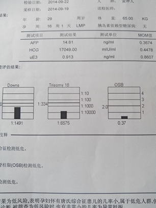 journal_insert_pic_155869683