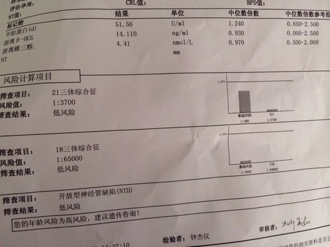 journal_insert_pic_156975303